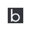 Web and Mobile App Development Company  Bitcot logo
