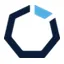 Fractional Ops Global logo