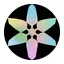 Teamvoy logo