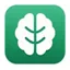 The AI Automation Agency logo